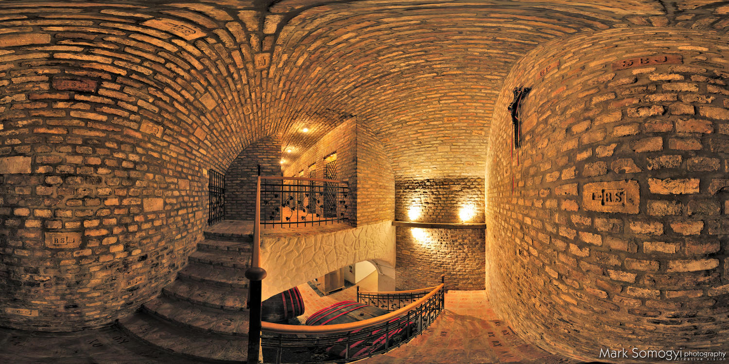 Somogyi Márk: fotózás, rövidfilm készítés